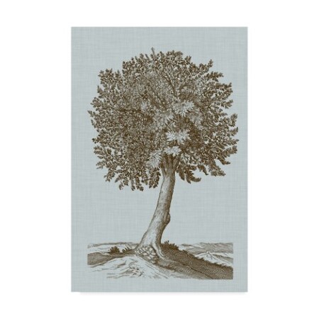 Vision Studio 'Antique Tree In Sepia I' Canvas Art,22x32
